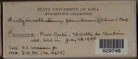 Image Associated With the Occurence